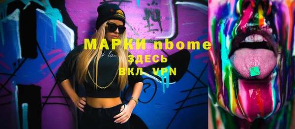 твердый Бородино