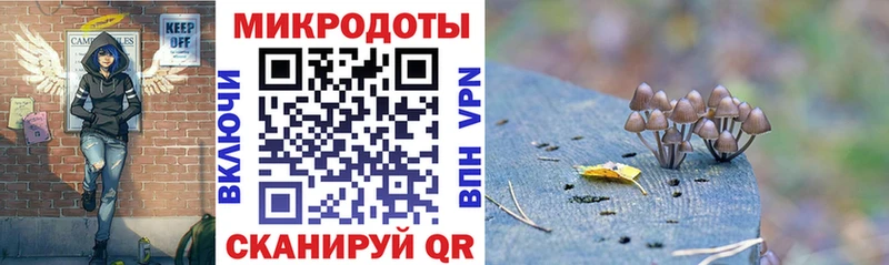 Галлюциногенные грибы Psilocybe Купить где Печора
